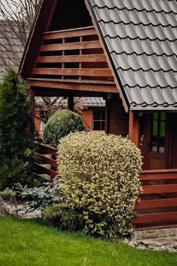 Domki U Basi Kudowa Zdroj Exterior photo